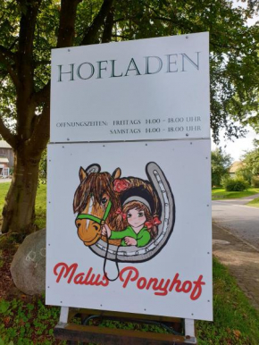 Malus Ponyhof, Todenbüttel